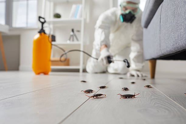 Post-Treatment Bed Bug Interceptor Monitoring in Penn Farms